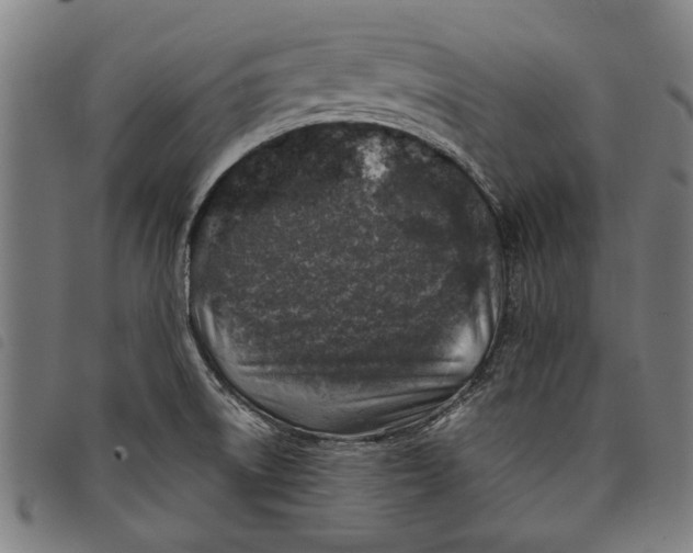 X0000097811522200804041325