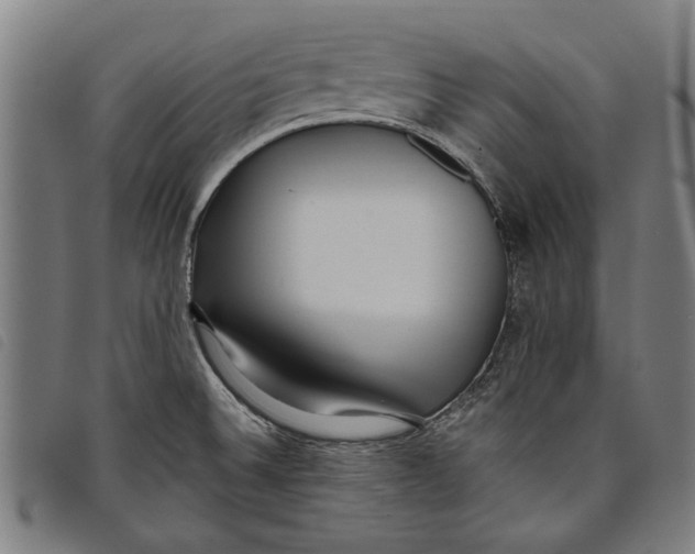 X0000097811524200804041325