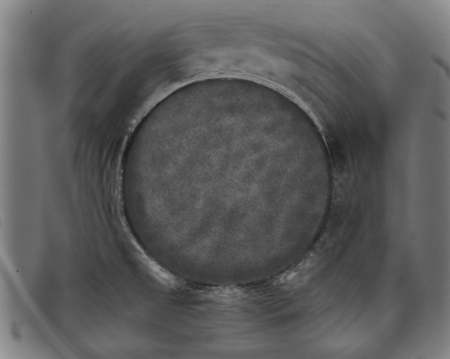 X0000097811525200804041325