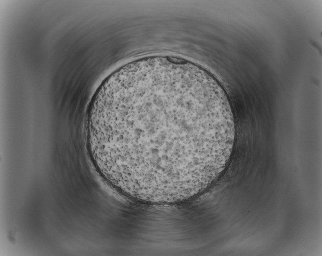 X0000097811526200804041325