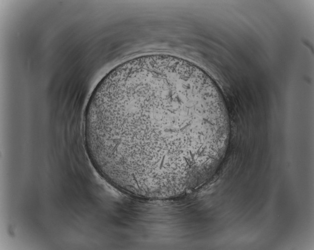 X0000097811527200804041325