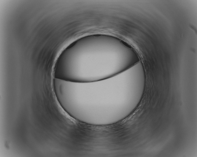 X0000097811528200804041325