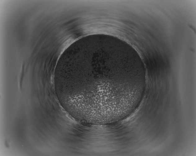 X0000097811529200804041325