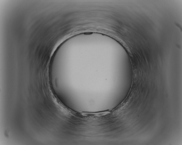 X0000097811530200804041325