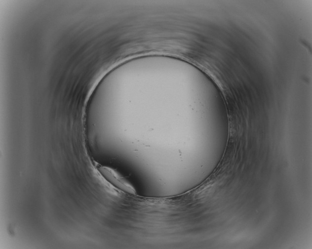 X0000097811532200804041325