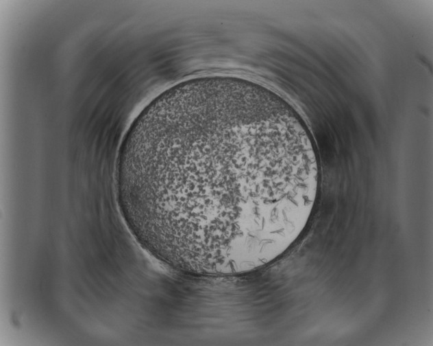 X0000097811533200804041325