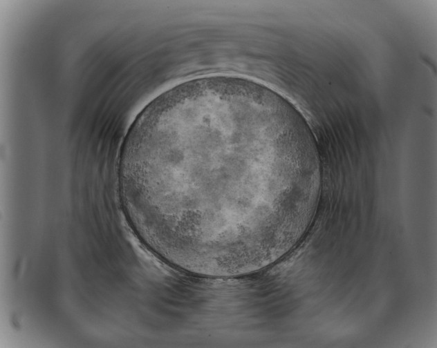 X0000097811534200804041325