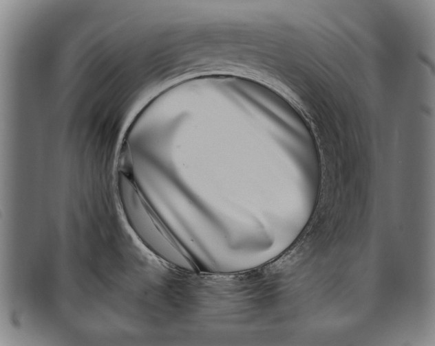 X0000097811536200804041325