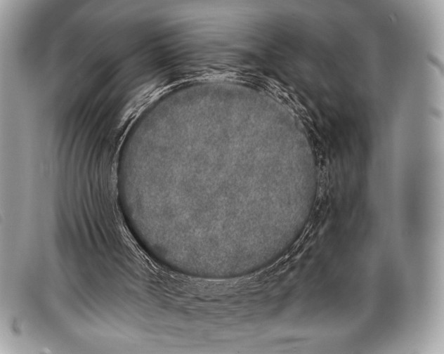 X0000097810002200804111003