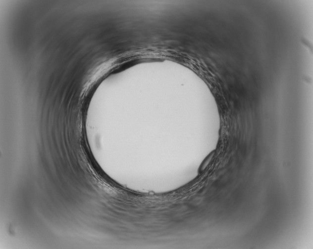 X0000097810005200804111003