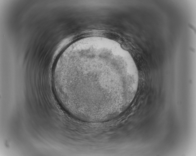 X0000097810006200804111003