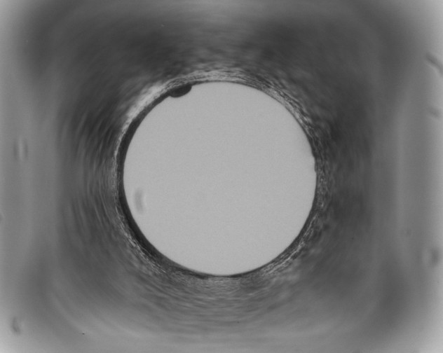 X0000097810008200804111003