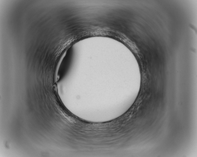 X0000097810009200804111003