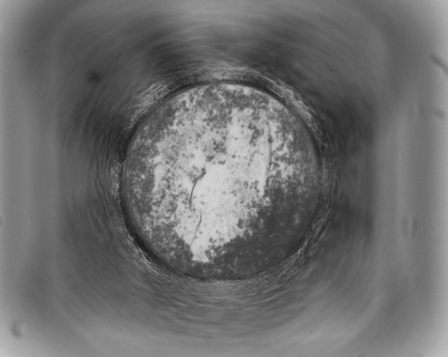 X0000097810010200804111003