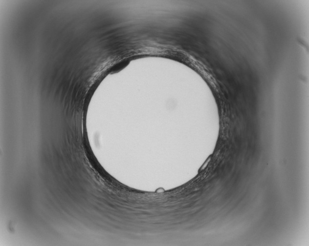 X0000097810011200804111003