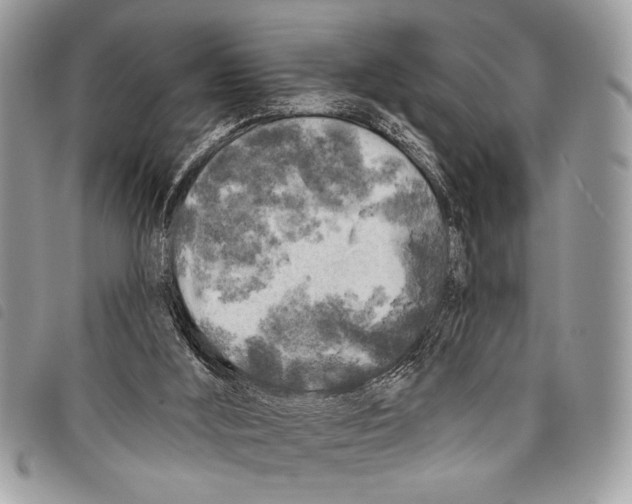 X0000097810012200804111003