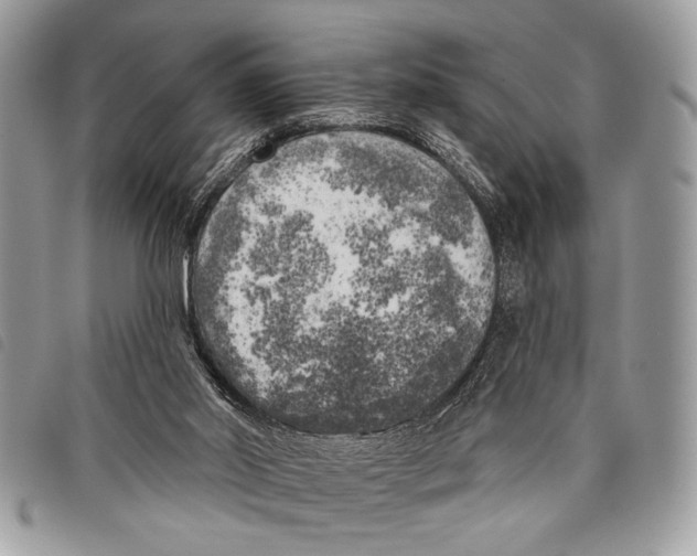 X0000097810014200804111003