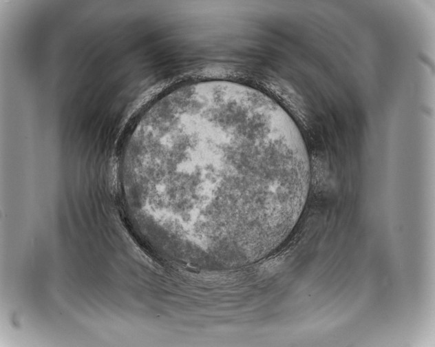 X0000097810016200804111003