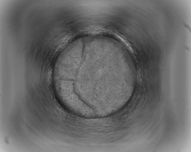 X0000097810018200804111003