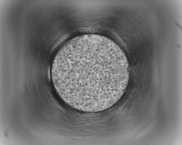 X0000097810020200804111003