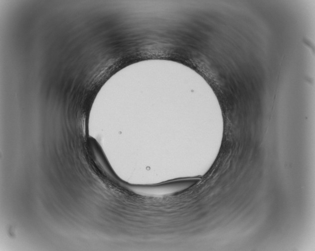 X0000097810021200804111003