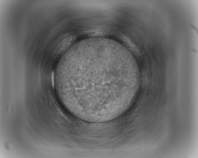 X0000097810022200804111002