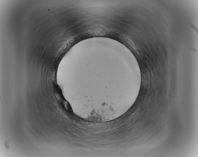 X0000097810023200804111002