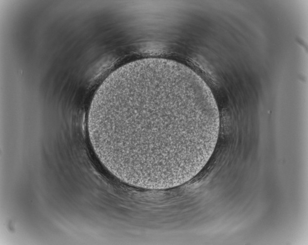 X0000097810024200804111002