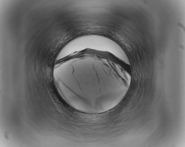 X0000097810031200804111002