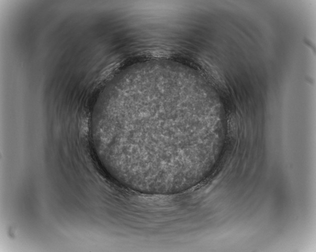 X0000097810032200804111002