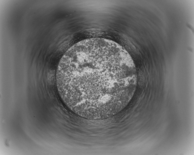 X0000097810034200804111002