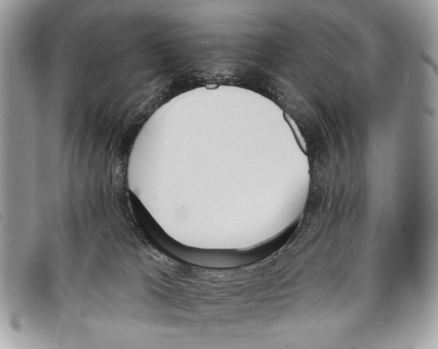 X0000097810037200804111002