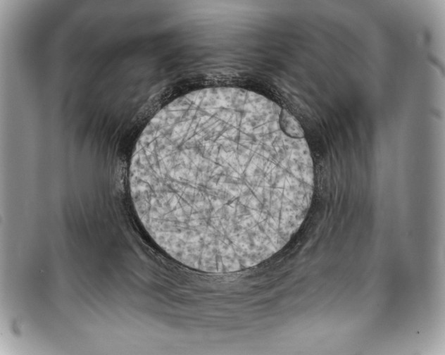 X0000097810038200804111002