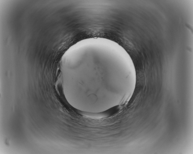 X0000097810039200804111002