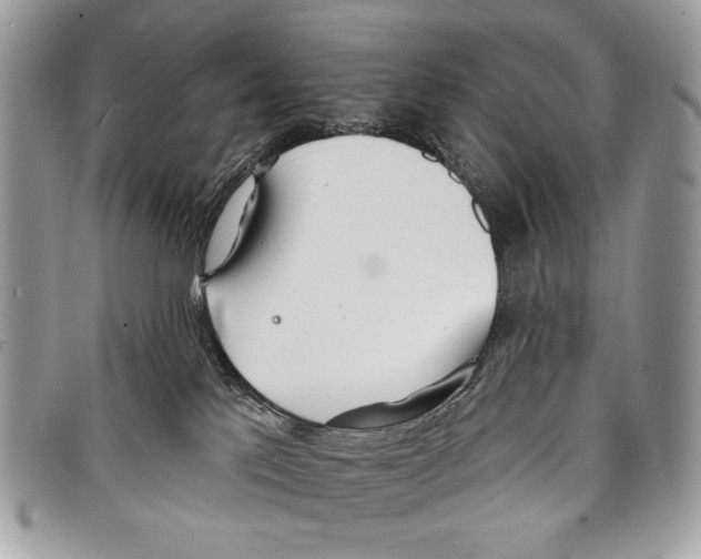 X0000097810041200804111002