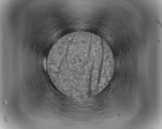 X0000097810042200804111002