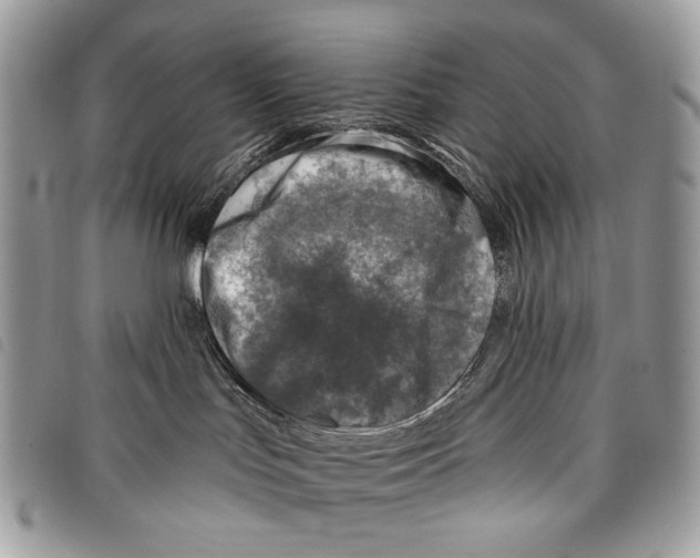 X0000097810047200804111002