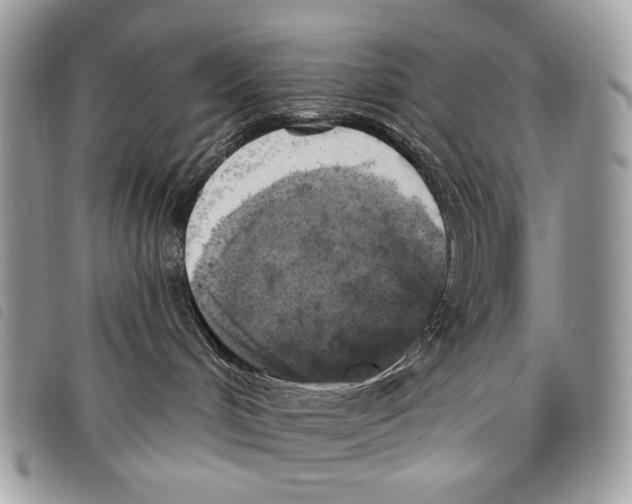 X0000097810048200804111002