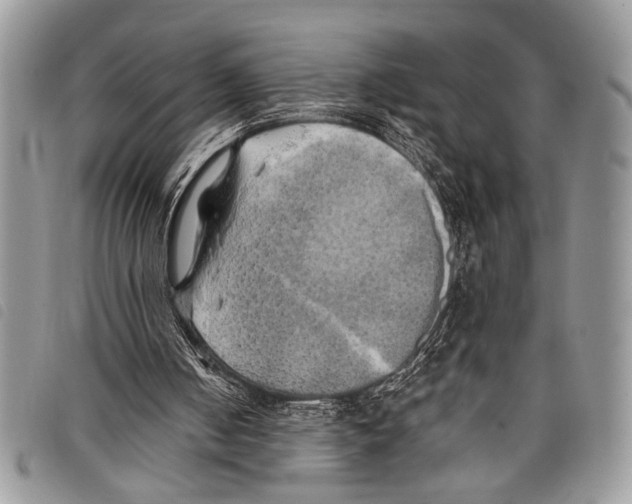 X0000097810050200804111001