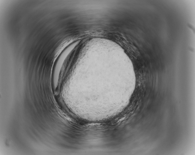 X0000097810052200804111001