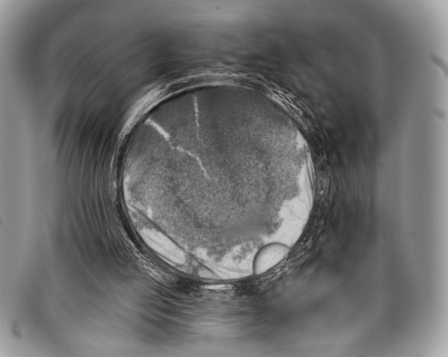 X0000097810053200804111002