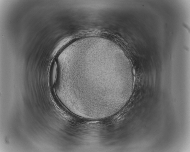 X0000097810054200804111002