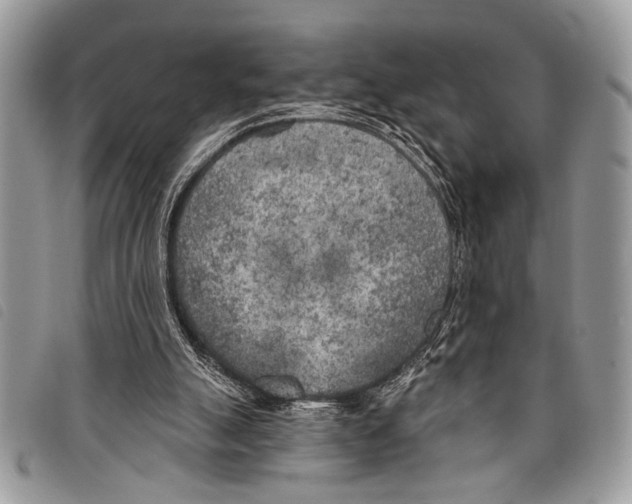 X0000097810055200804111002