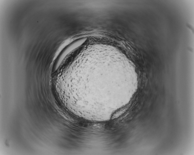 X0000097810056200804111002