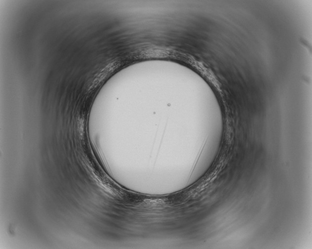 X0000097810057200804111002