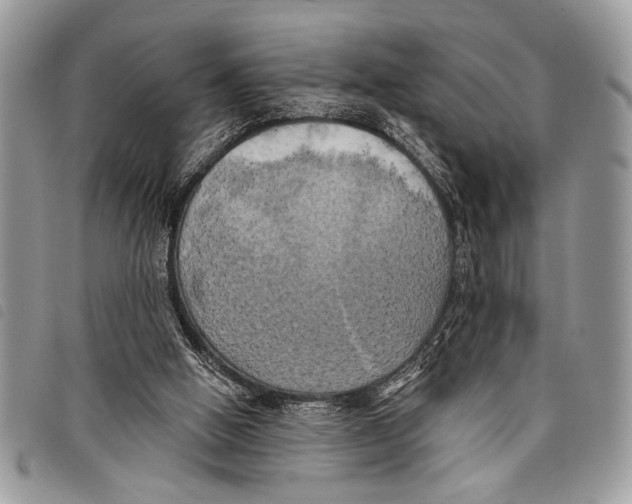 X0000097810058200804111002