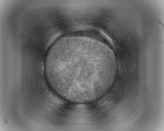 X0000097810059200804111002