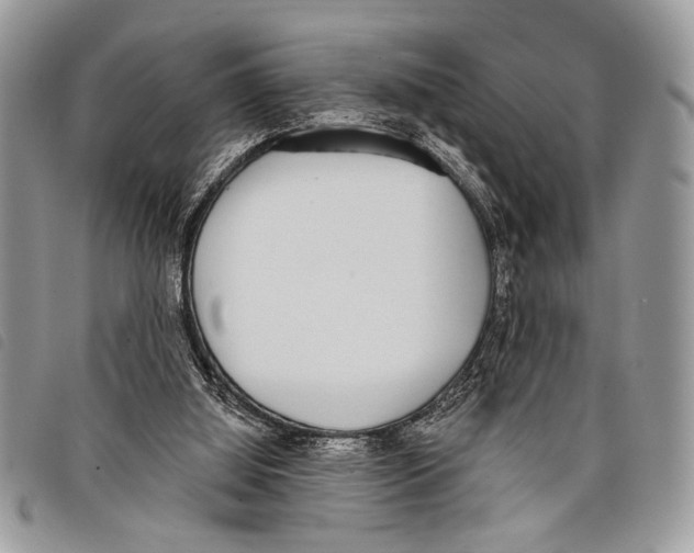 X0000097810060200804111002