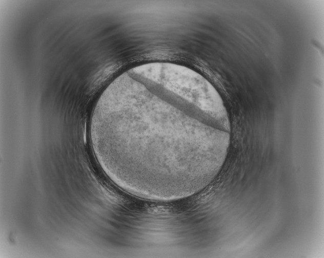 X0000097810062200804111002