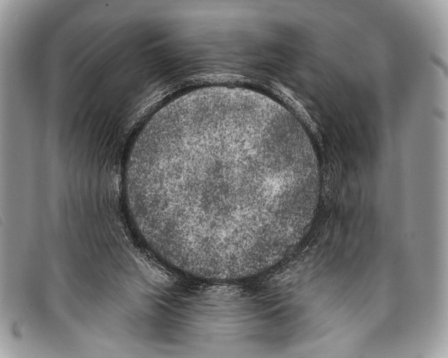 X0000097810063200804111002